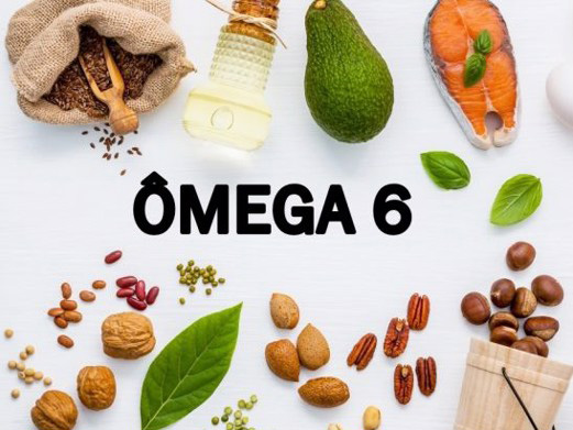 Omega 6 là gì? Omega 6 có tác dụng gì với việc giúp cơ thể khỏe mạnh.