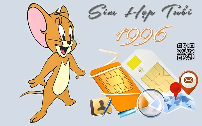 Tìm sim phong thuỷ hợp tuổi 1996 - Mua Sim