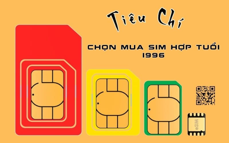 Tìm sim phong thuỷ hợp tuổi 1996 - Mua Sim